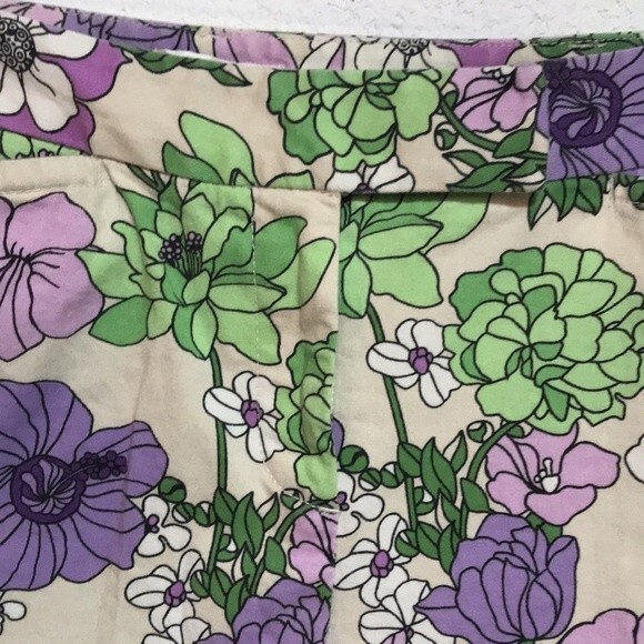 Ann Taylor Loft Capris 4 PT - Picture 3 of 7